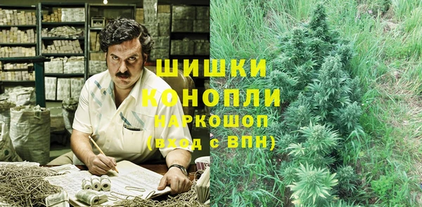 герыч Ельня