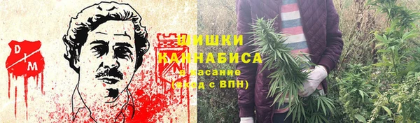соль ск Дмитров